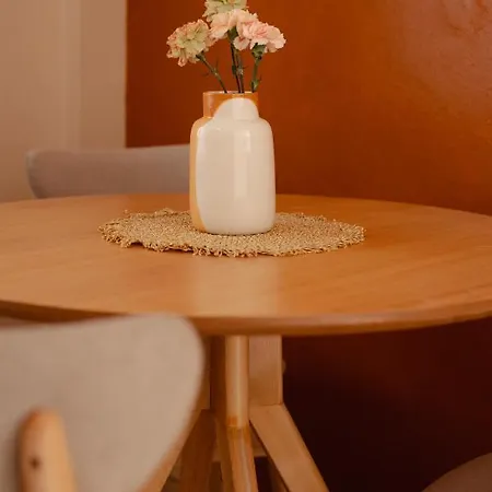 Erik's Place Apartment Shkodra